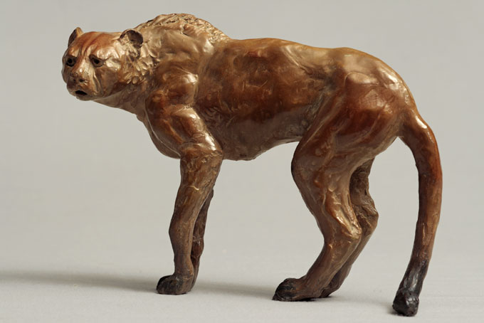 guépard méfiant guépard méfiant