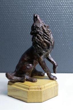 L'appel du loup - vue 2