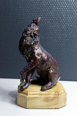 L'appel du loup - vue 3