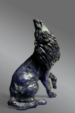 L'appel du loup - vue 6