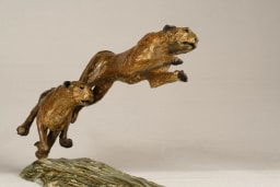 Chasse aux impalas - vue 3