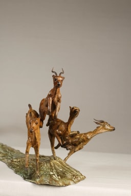 Chasse aux impalas - vue 4