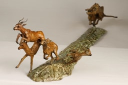 Chasse aux impalas - vue 5