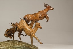 Chasse aux impalas - vue 7