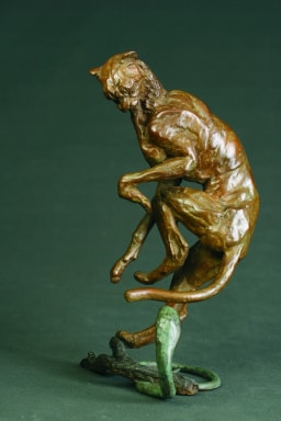 Guépard et cobra - vue 7