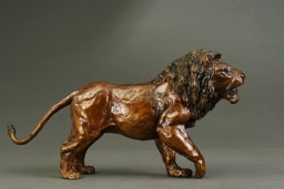 Lion agressif - vue 4