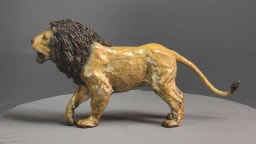 Lion agressif - vue 5