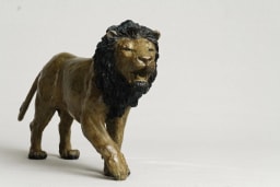 Lion agressif - vue 7