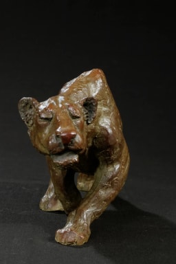 Lionne à l'affût - vue 4
