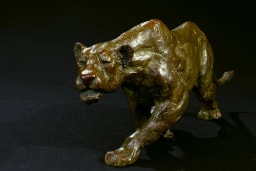 Lionne à l'affût - vue 5
