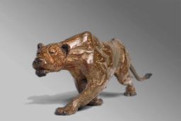 Lionne à l'affût - vue 6