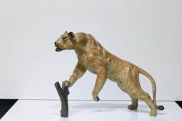 Lionne affamée - vue 1