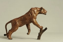 Lionne affamée - vue 2