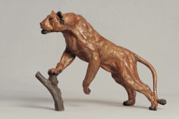 Lionne affamée - vue 3