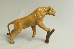 Lionne affamée - vue 7