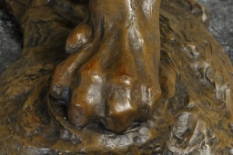 Offensive de lion - vue 6