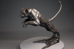 Okavango - vue 5