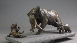Ouste ! - vue 4