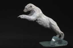 Plongeon - vue 3