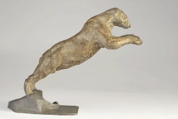 Plongeon - vue 6