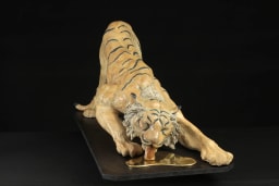 Soif de tigre - vue 3