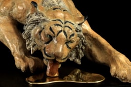 Soif de tigre - vue 4