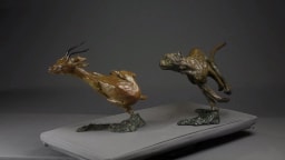 Survivre - vue 8