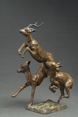 Trois impalas - vue 1
