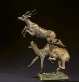 Trois impalas - vue 2