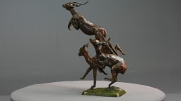 Trois impalas - vue 5