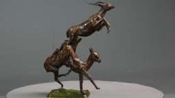 Trois impalas - vue 8