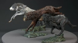 Trois loups en chasse - vue 4