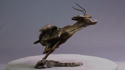 Affolement de gazelle - vue 1