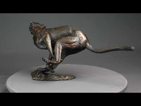Agression de guépard