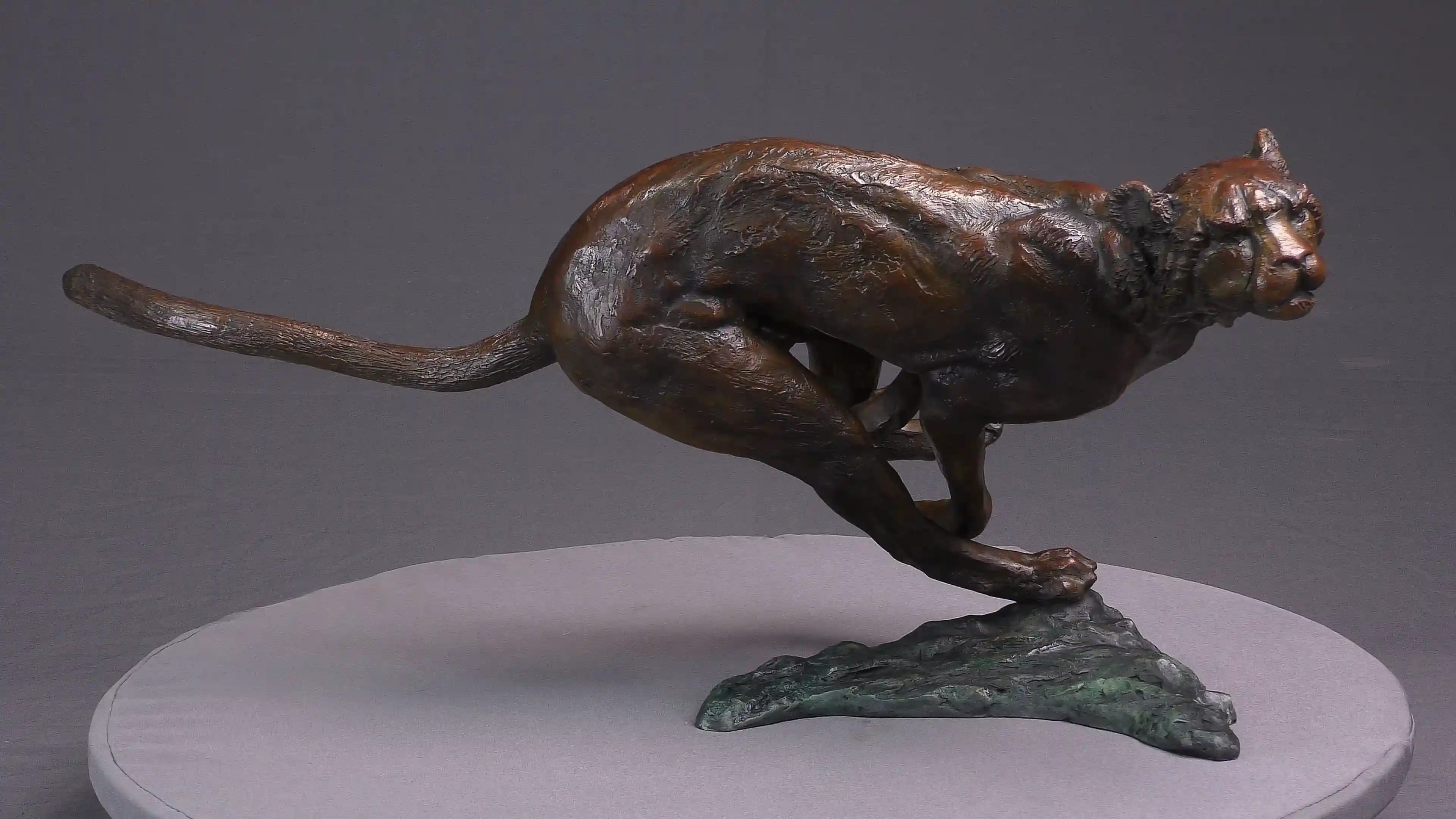 Agression de guépard — vue 1