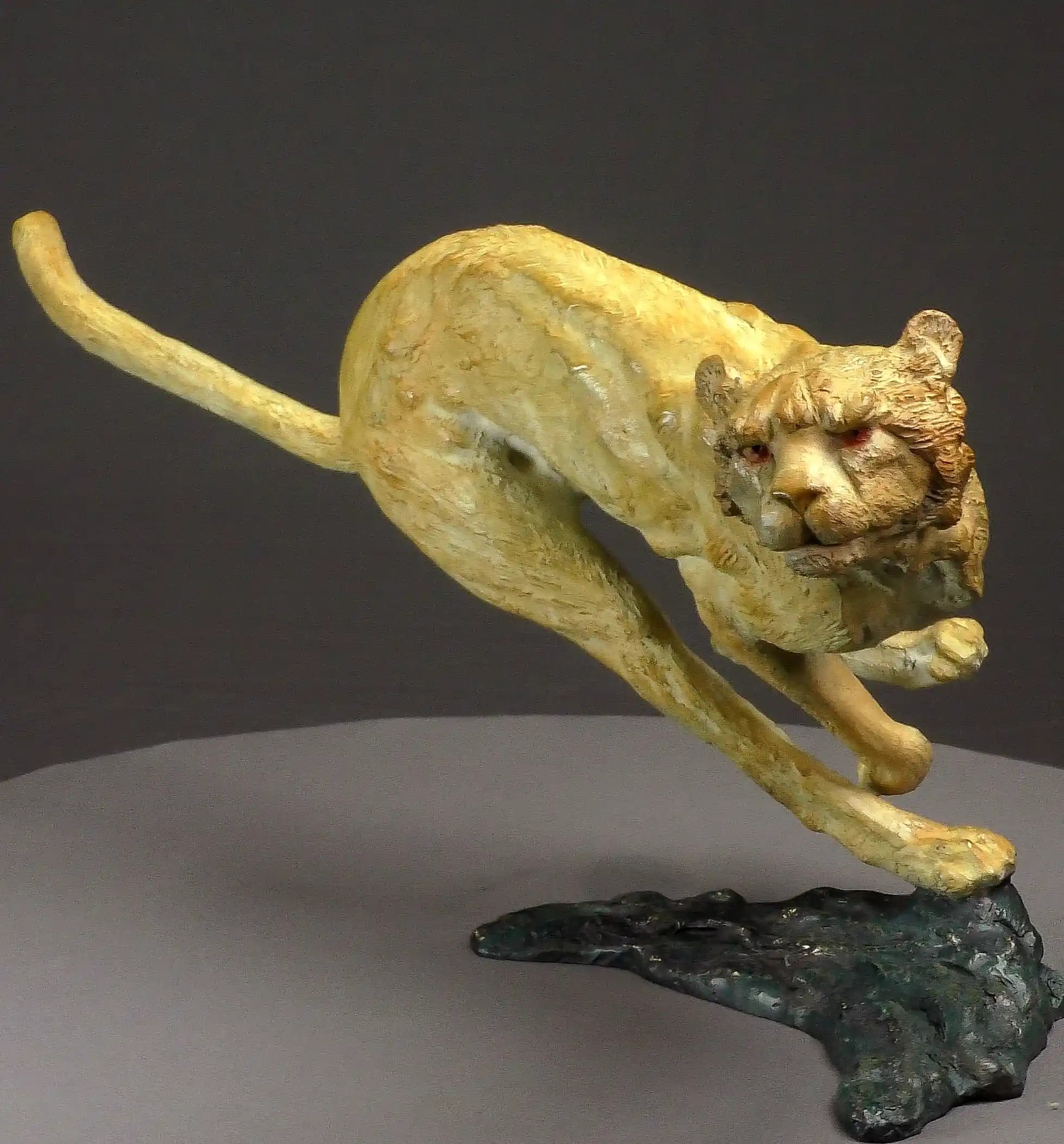 Agression de guépard — vue 7