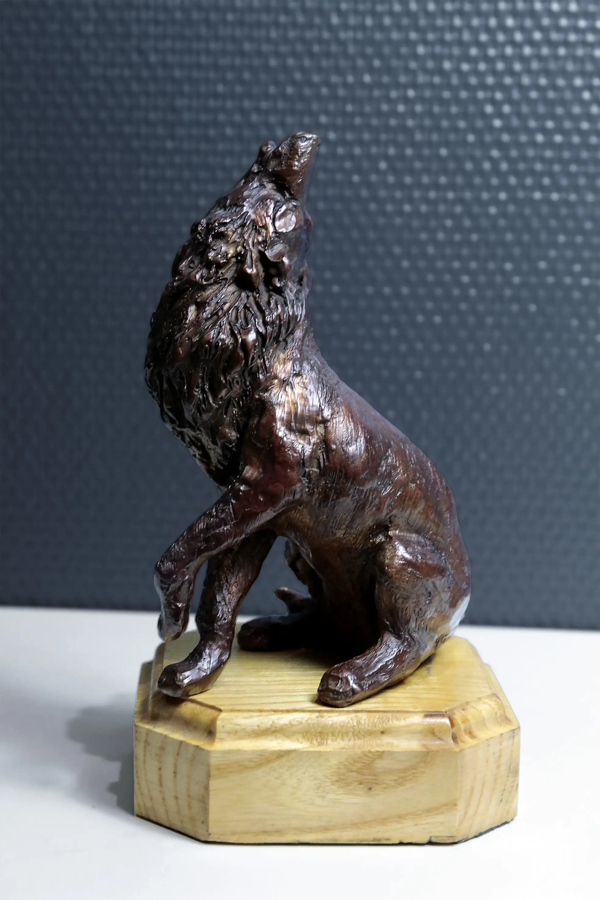 L'appel du loup — vue 3