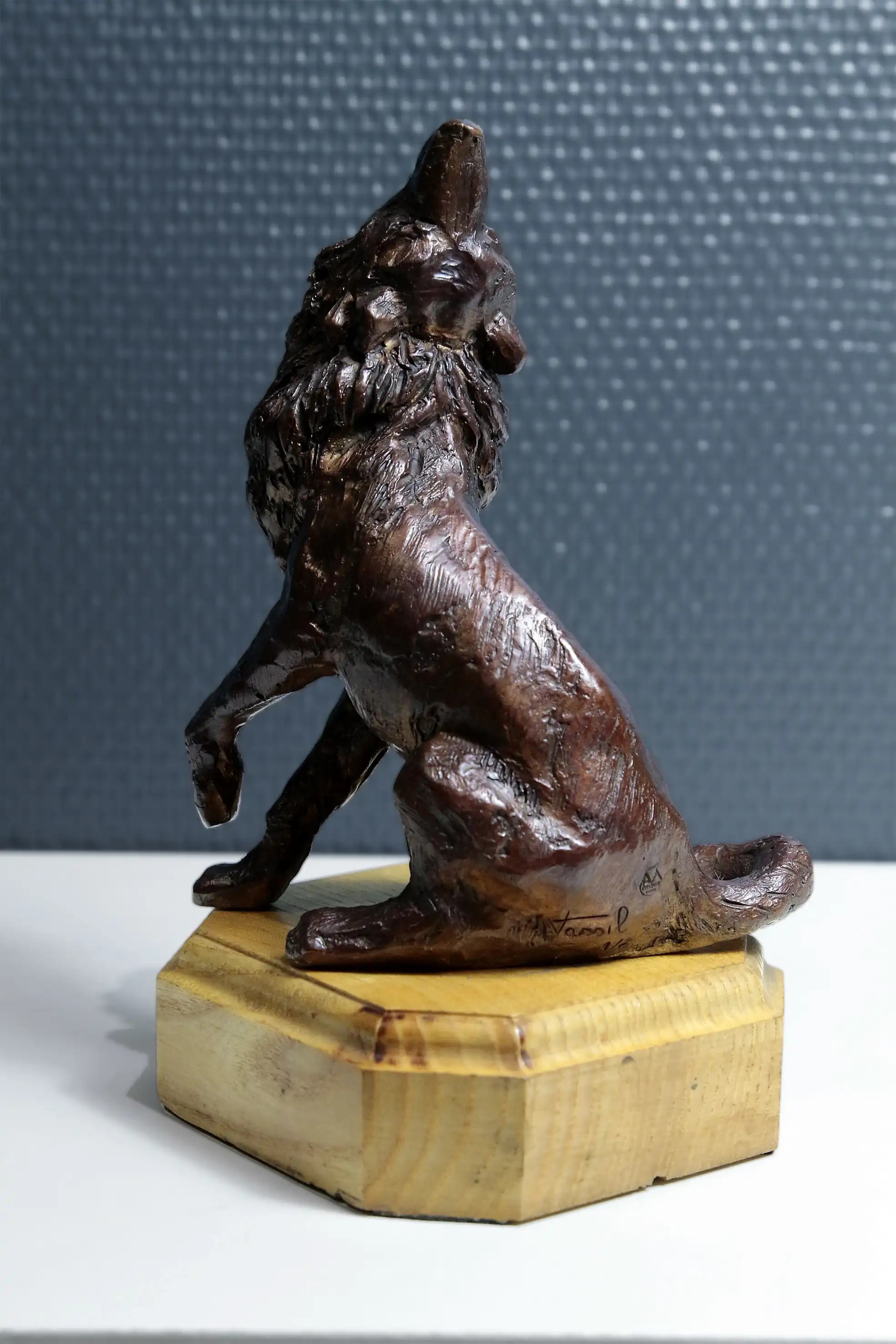 L'appel du loup — vue 4