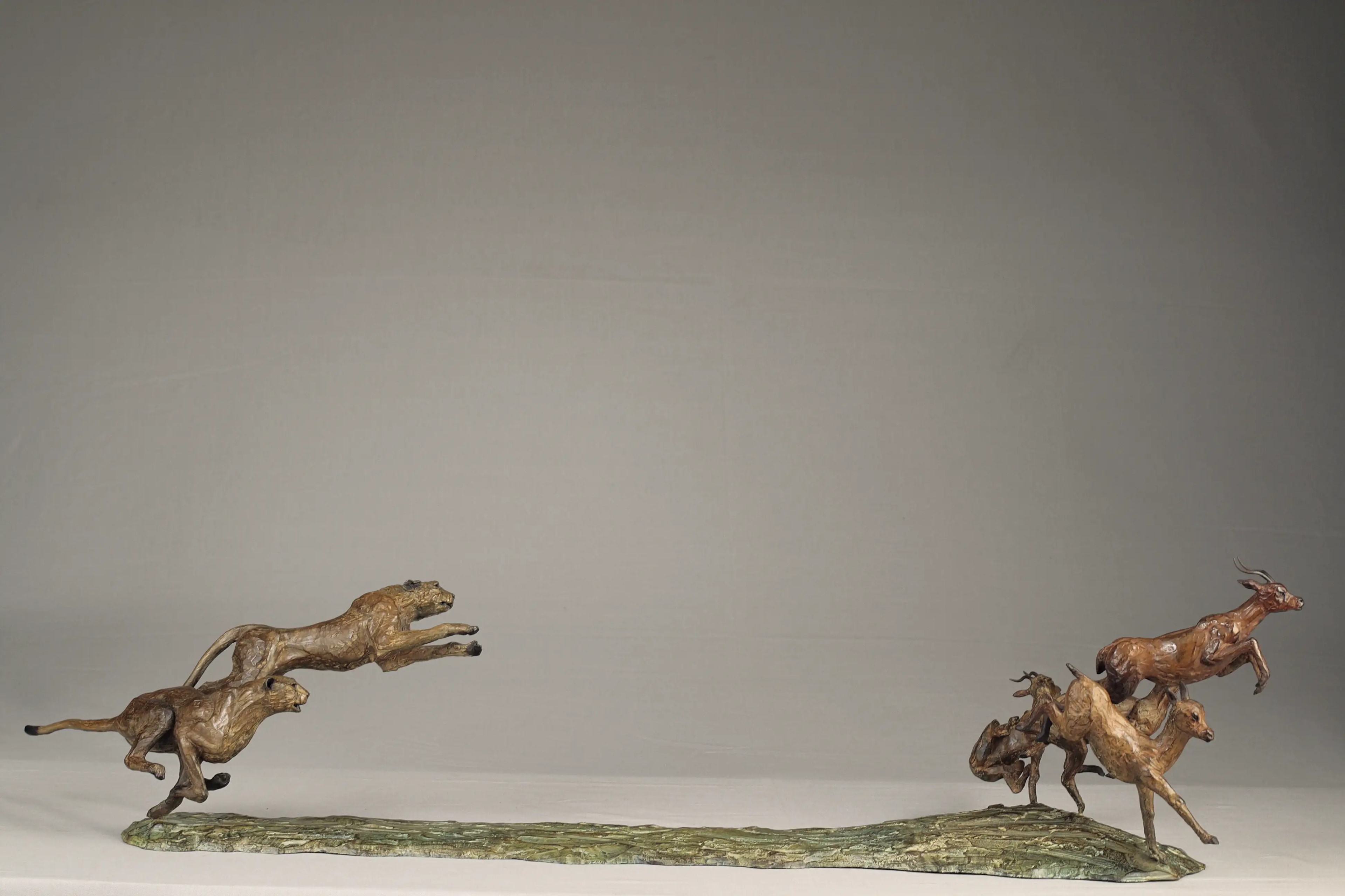 Chasse aux impalas — vue 1