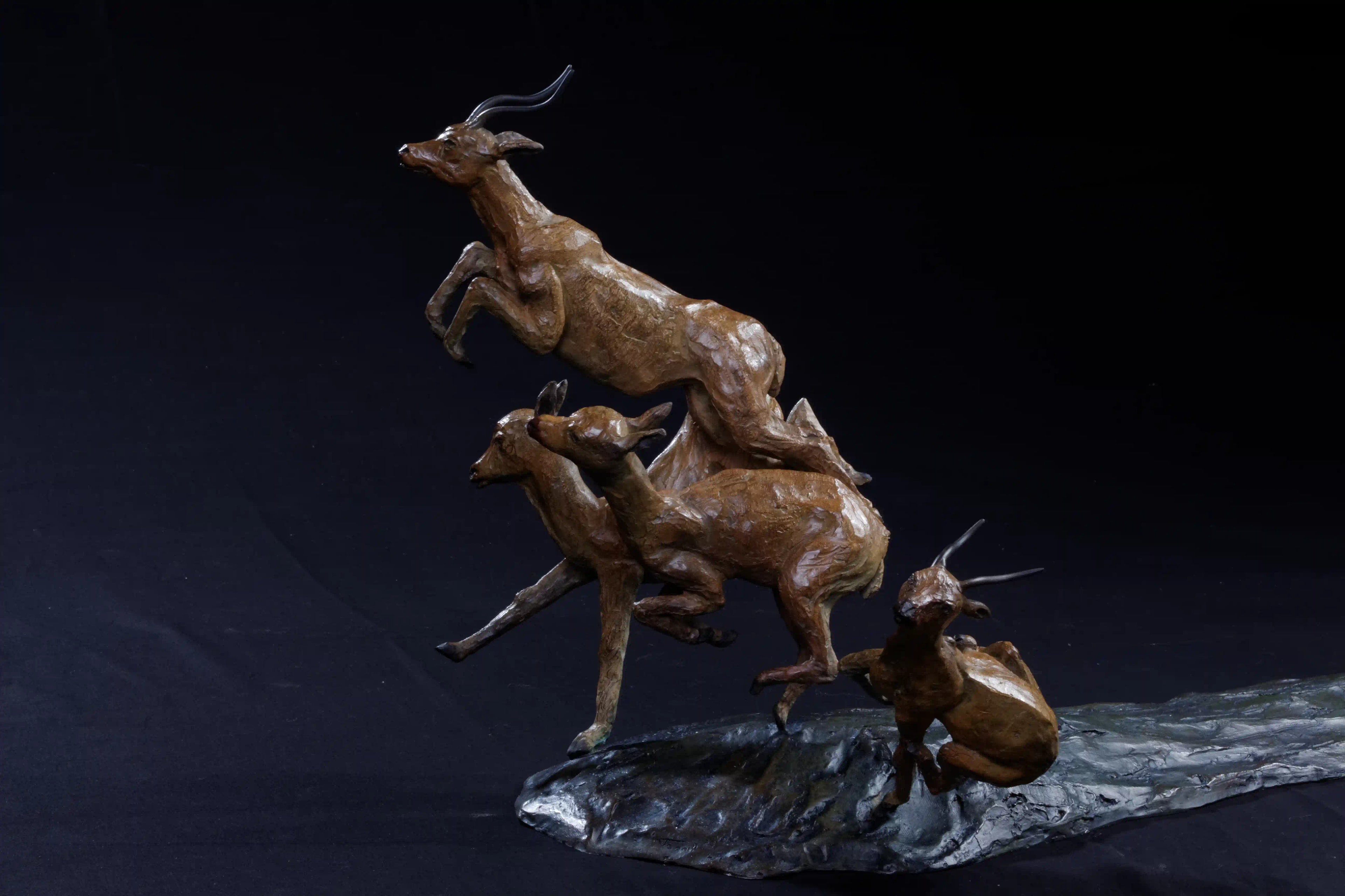 Chasse aux impalas — vue 10