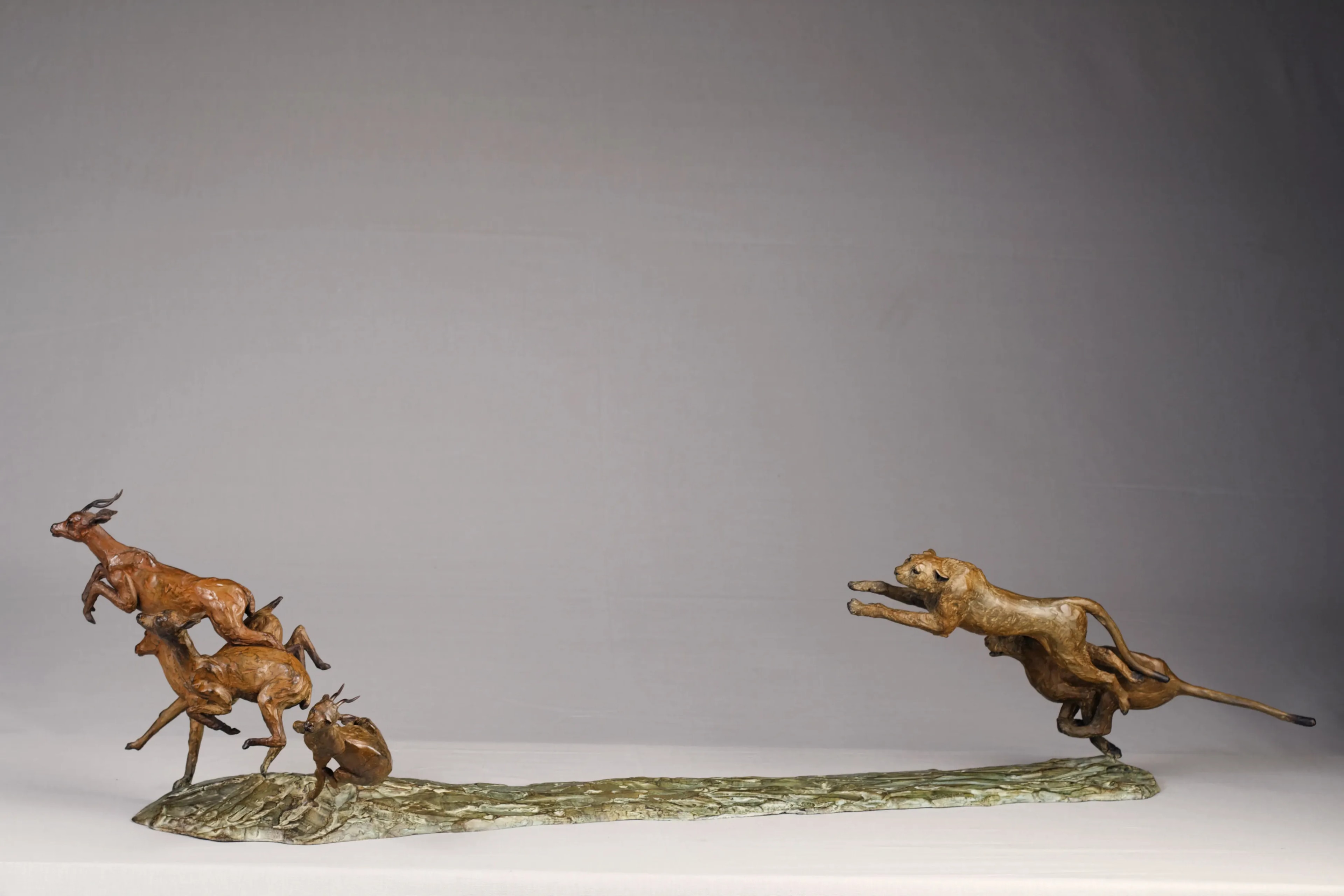 Chasse aux impalas — vue 2