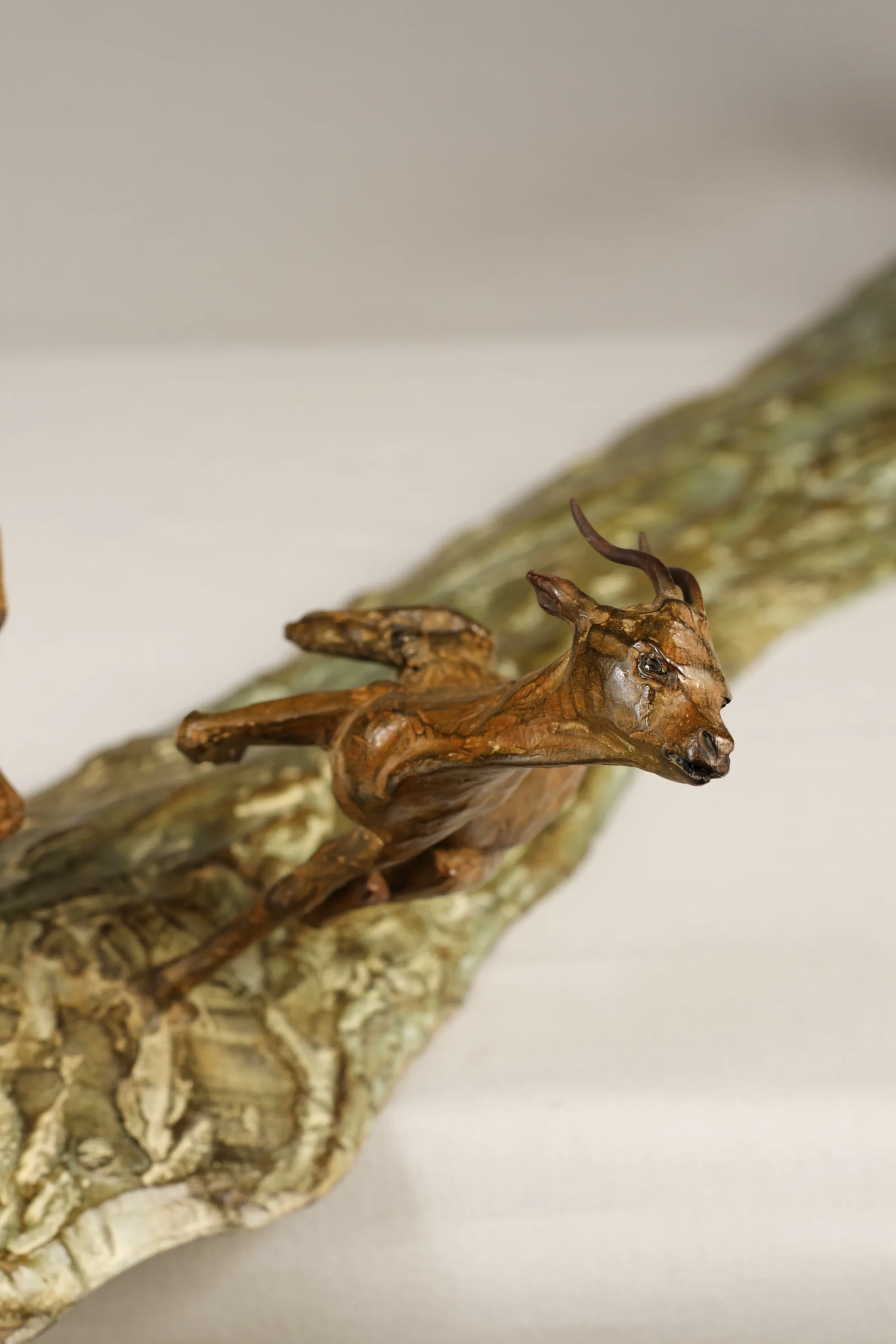 Chasse aux impalas — vue 6