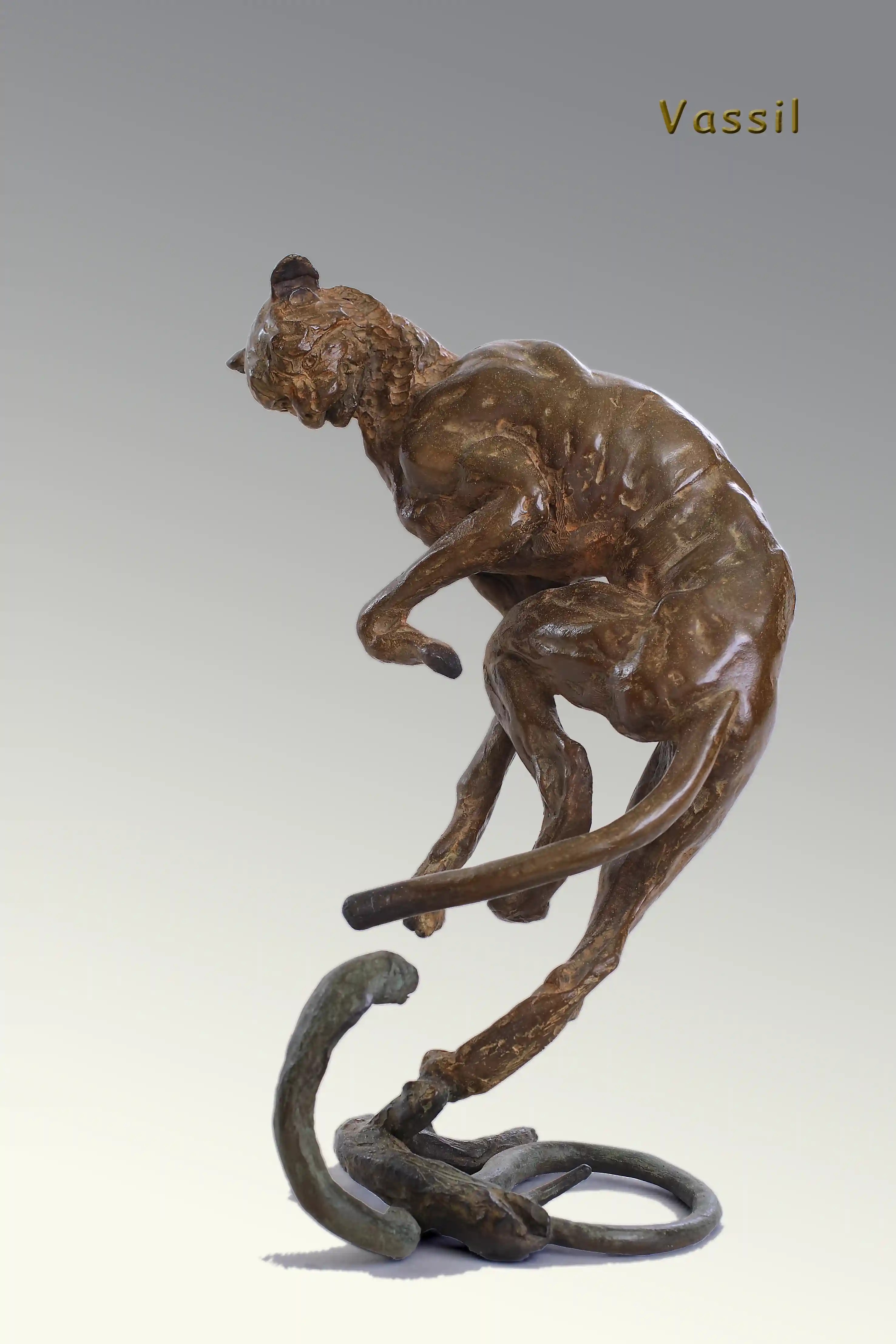 Guépard et cobra — vue 10