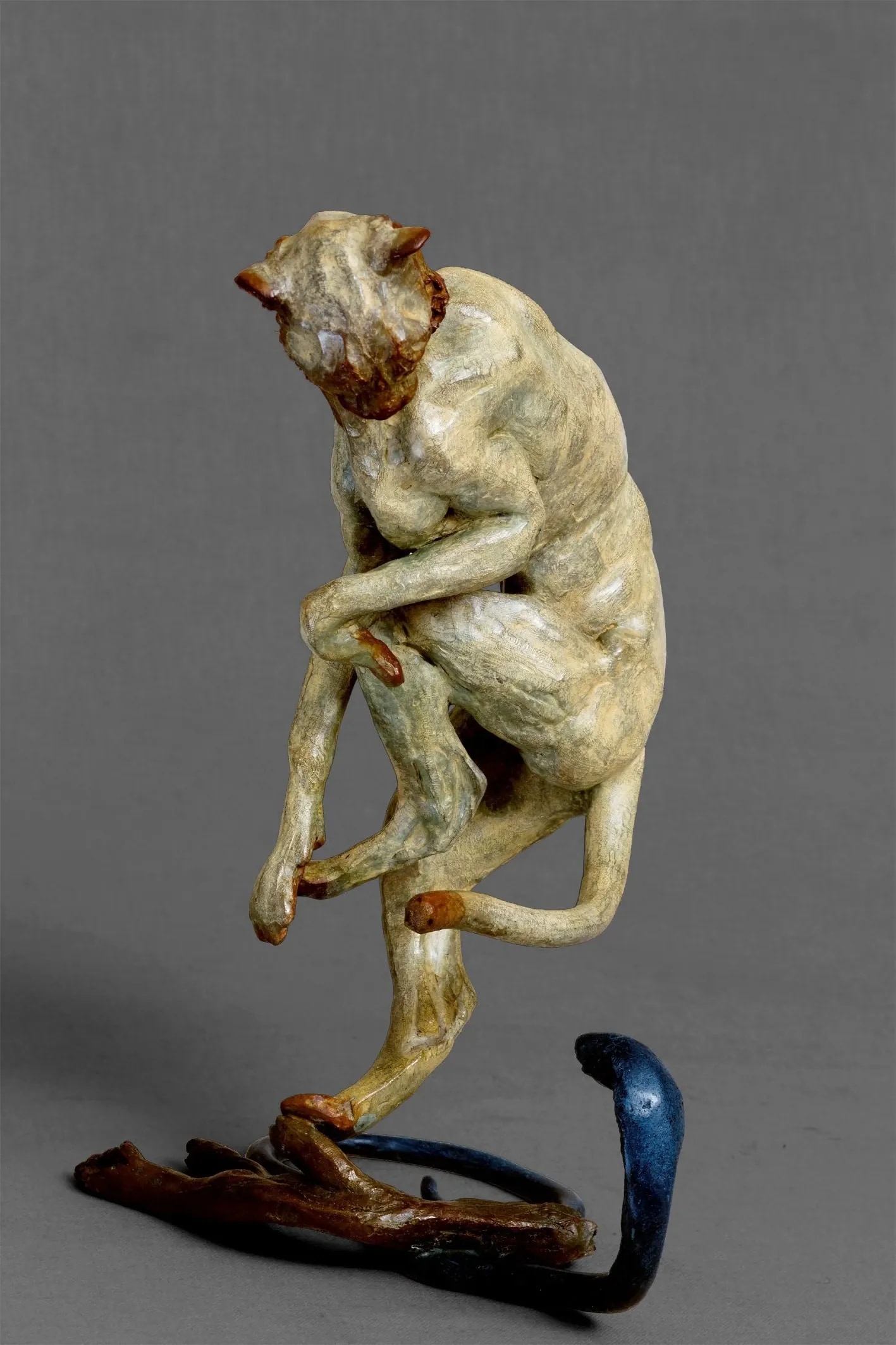 Guépard et cobra — vue 9
