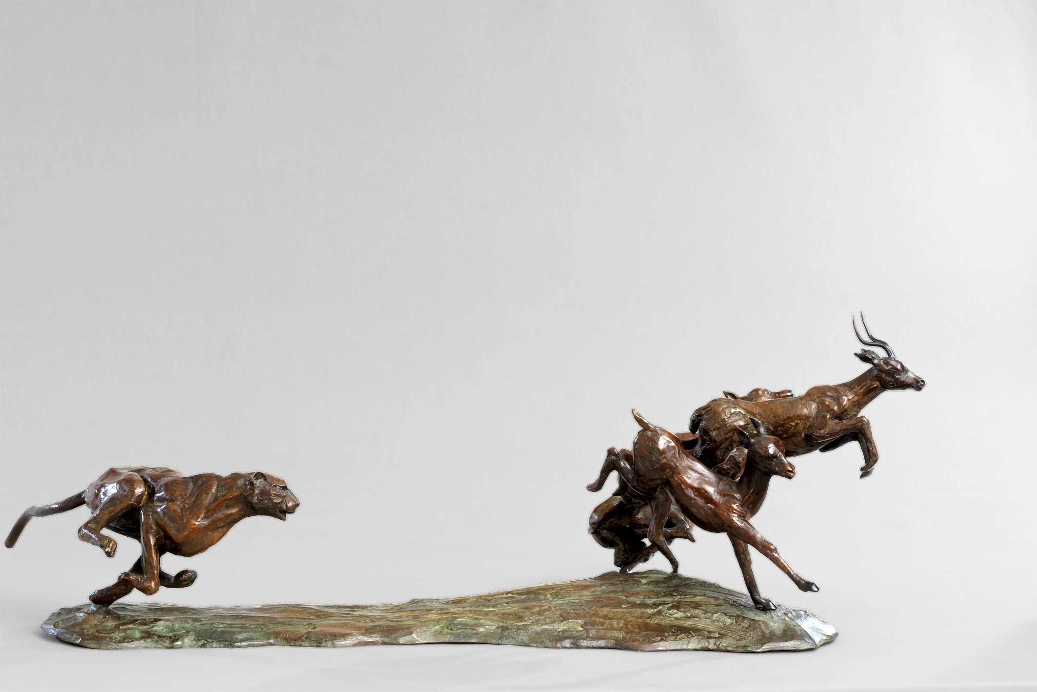 L'attaque du guépard