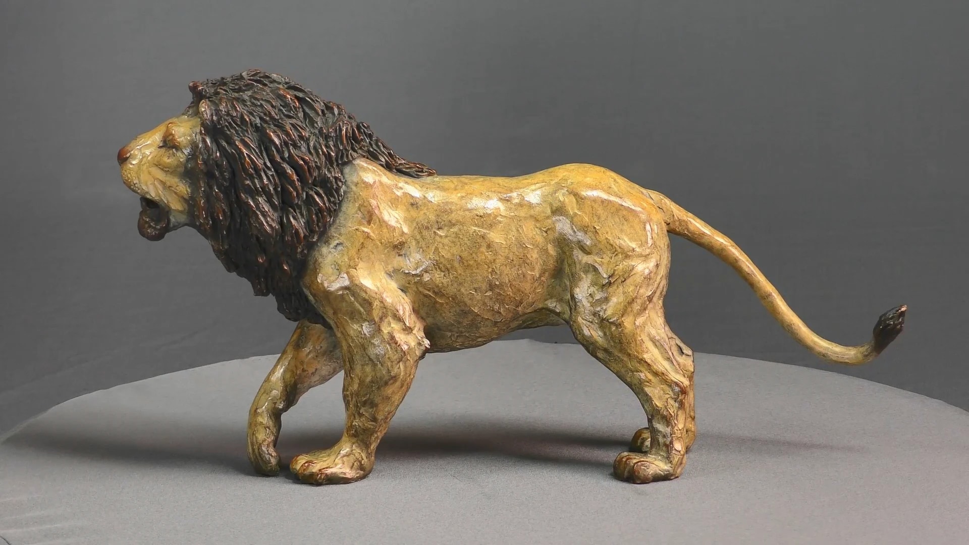 Lion agressif — vue 5