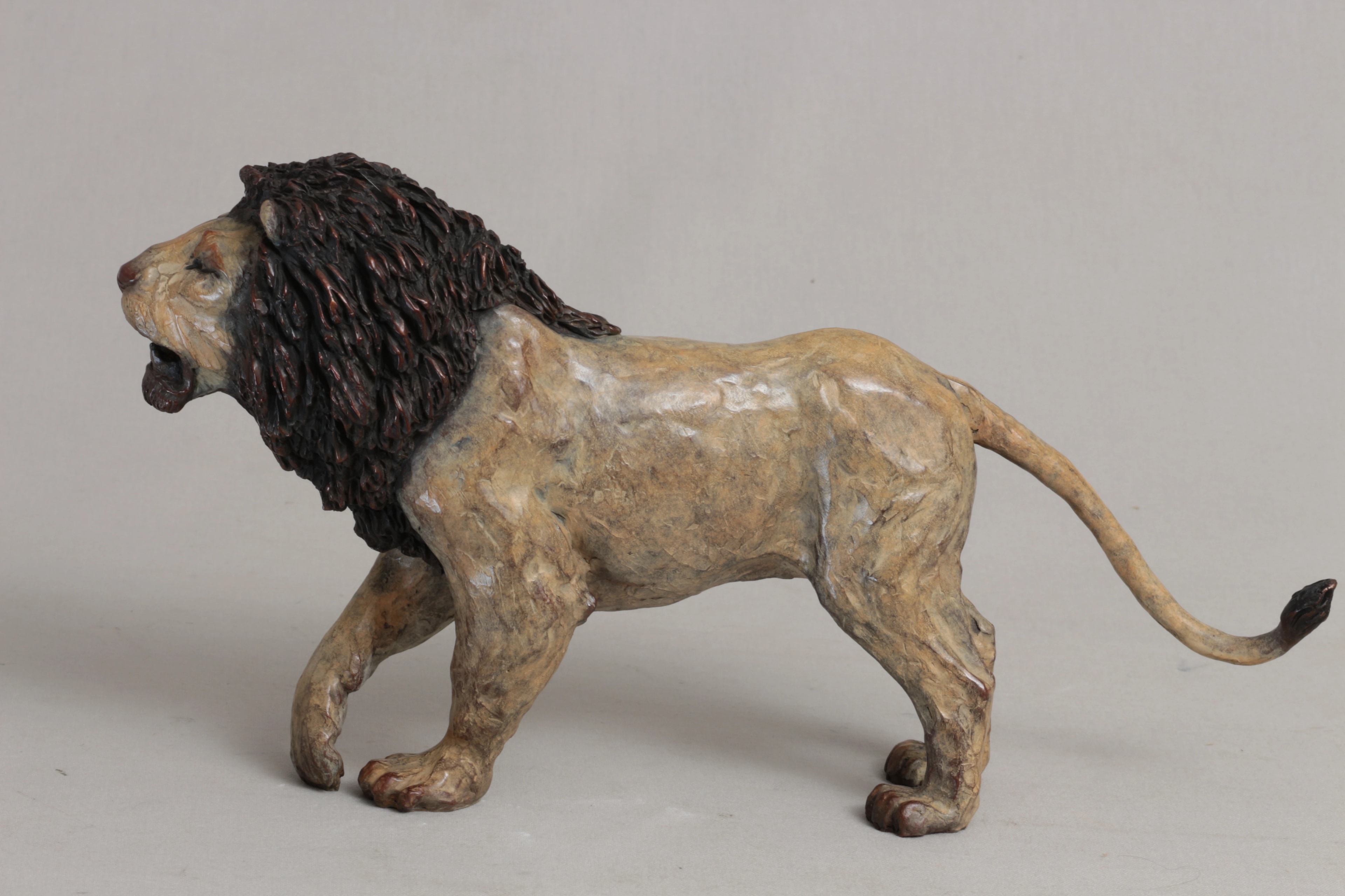Lion agressif — vue 6