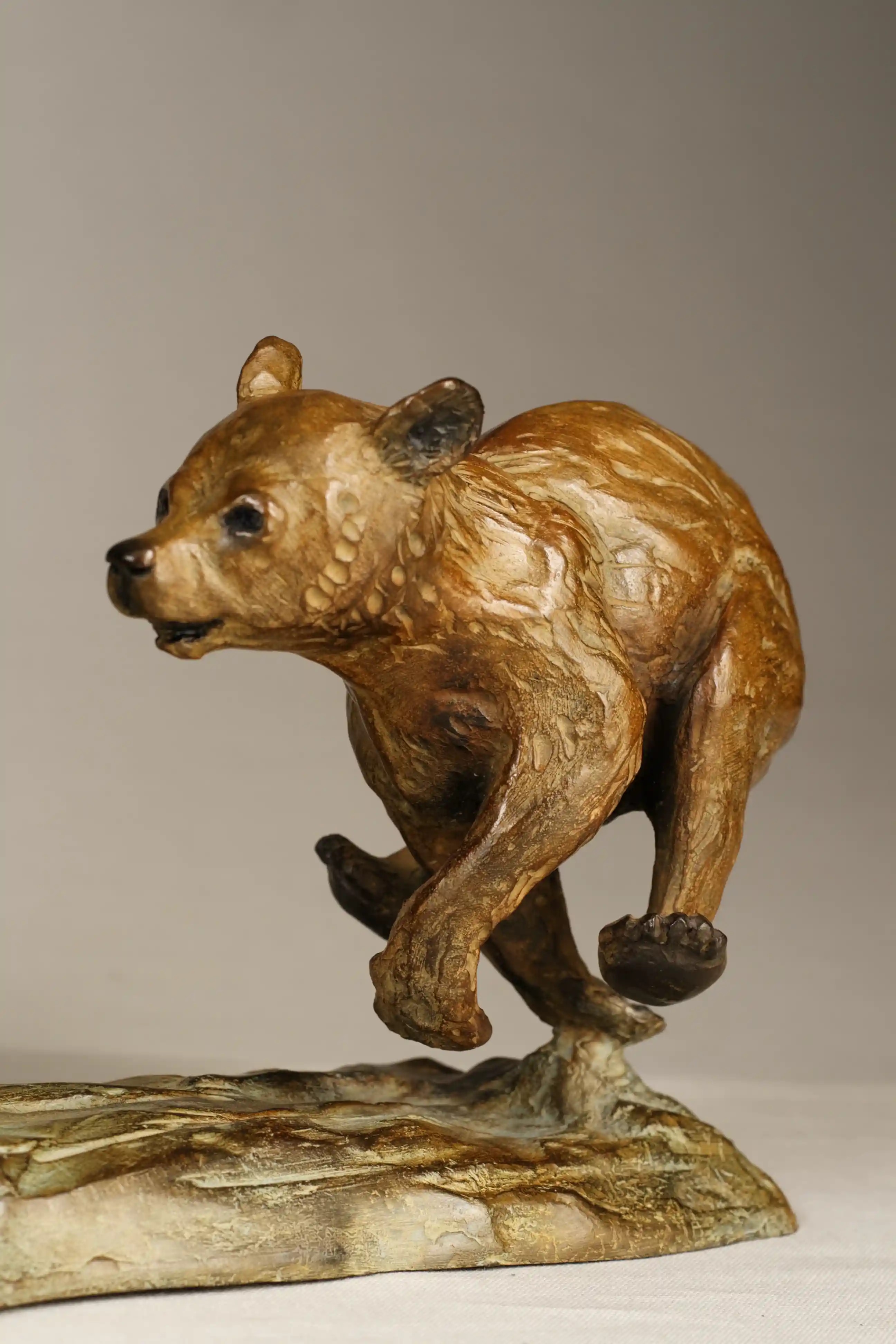 L'ours et son petit — vue 4