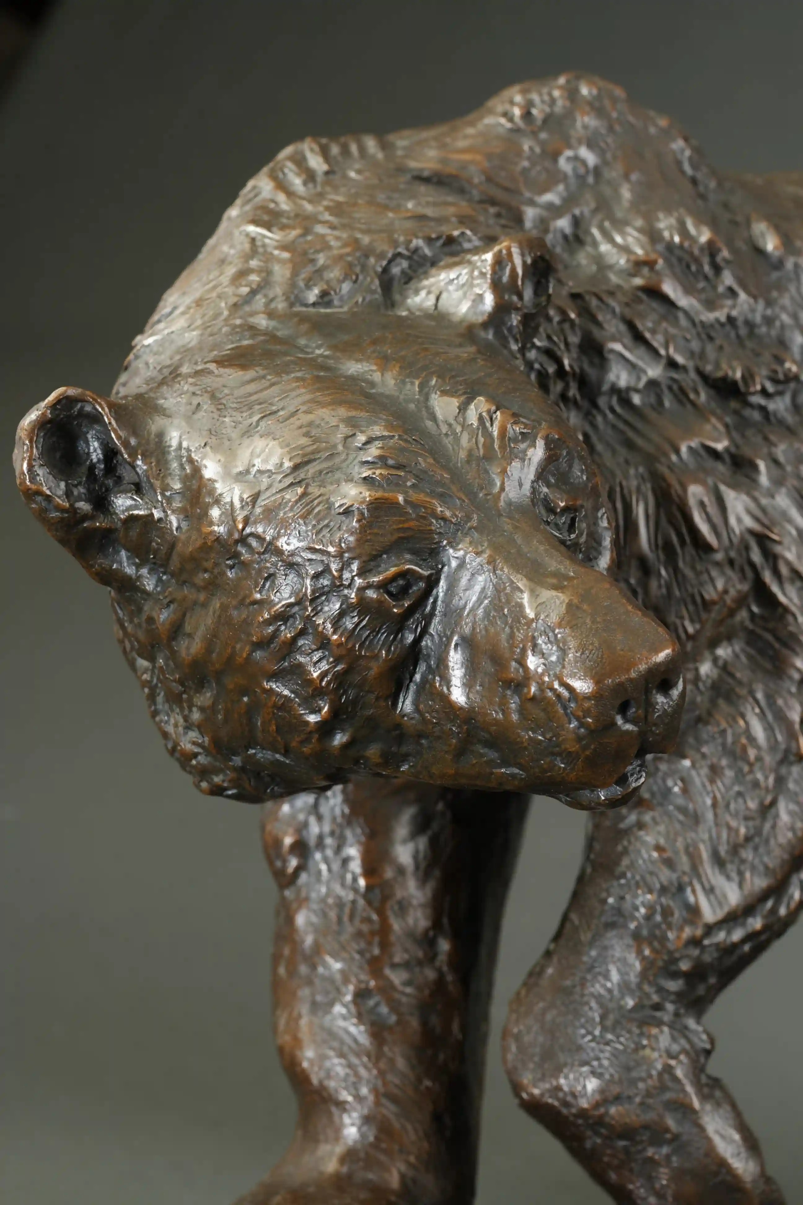 L'ours et son petit — vue 7