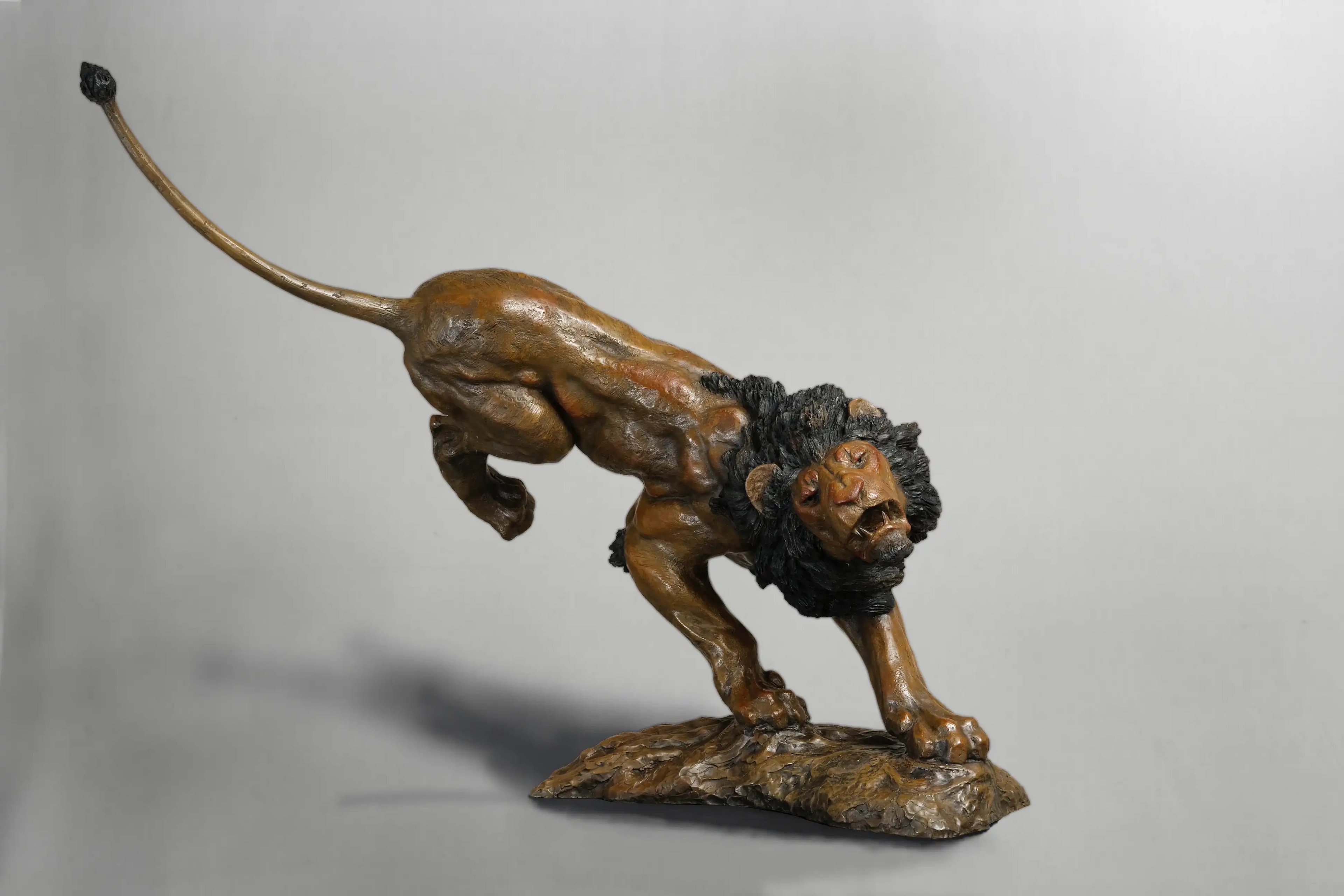 Offensive de lion — vue 1